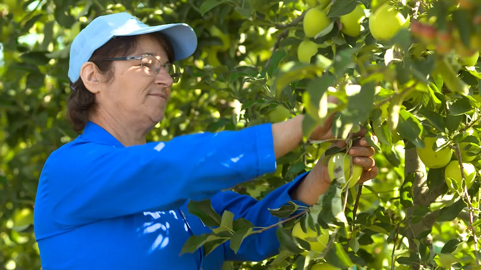 Zəhmətinizi sevin!