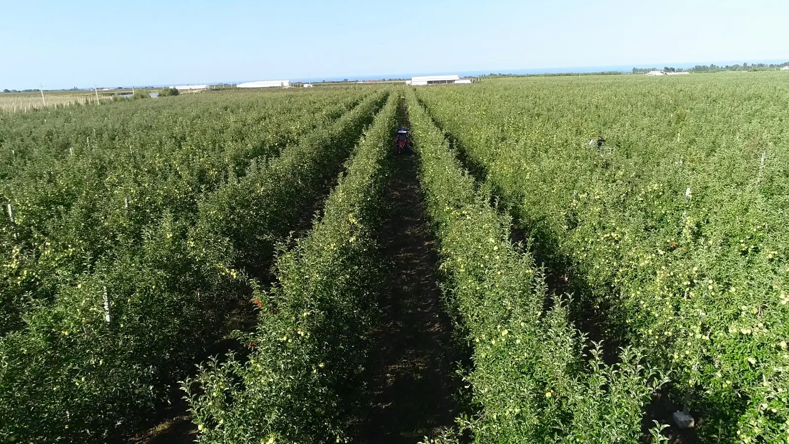 Zəhmətinizi sevin!