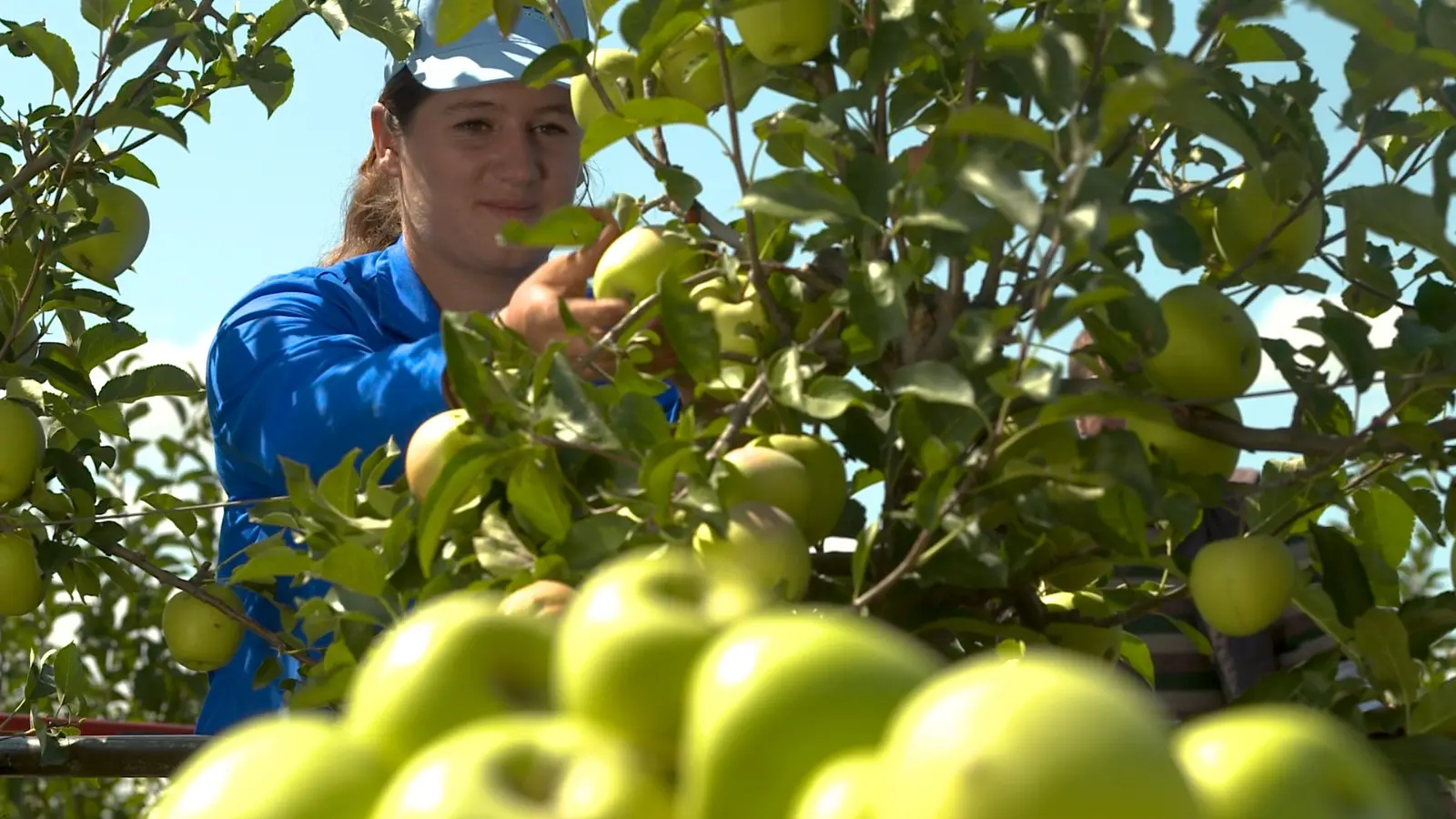 Zəhmətinizi sevin!